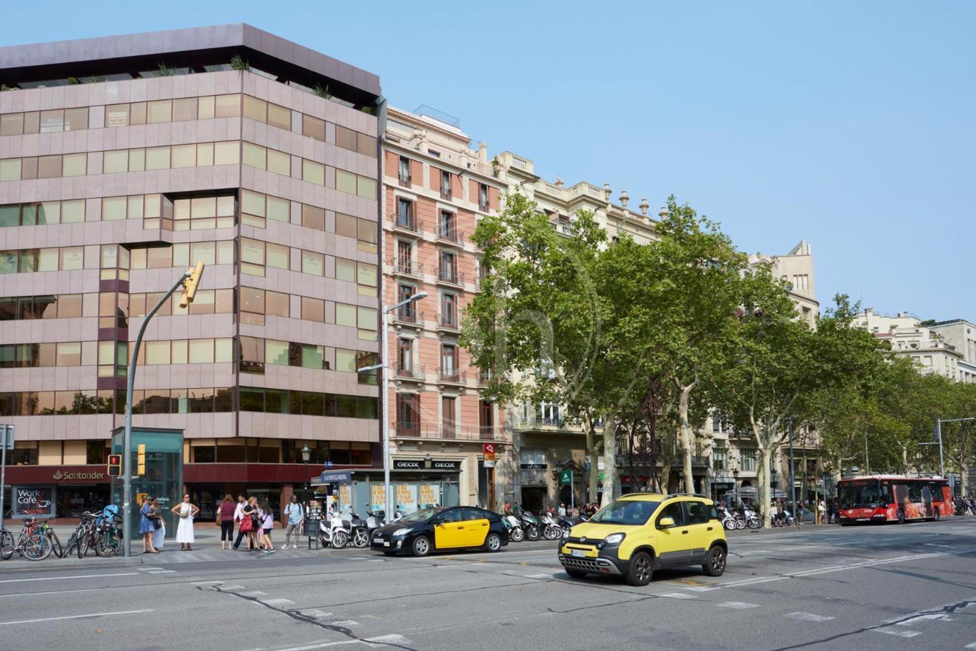 Maravilloso Frente A La Casa Batllo Appartamento Barcellona